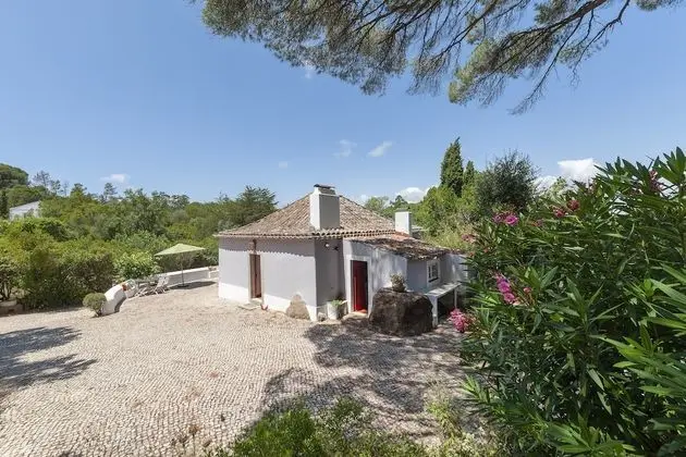 Ev, 1 Yatak Odası (The Pine Tree House)