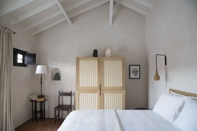 Standard Tek Büyük Yataklı Oda, Üzüm Asması Manzaralı