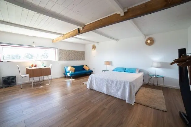 Panoramic Çatı Katı (Loft)