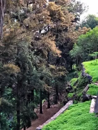 Apart Daire, Bahçe Manzaralı
