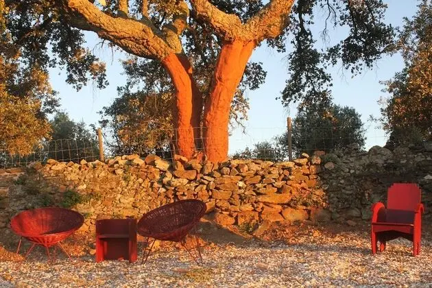 Traditional Tek Büyük Yataklı Oda (Nogueira)