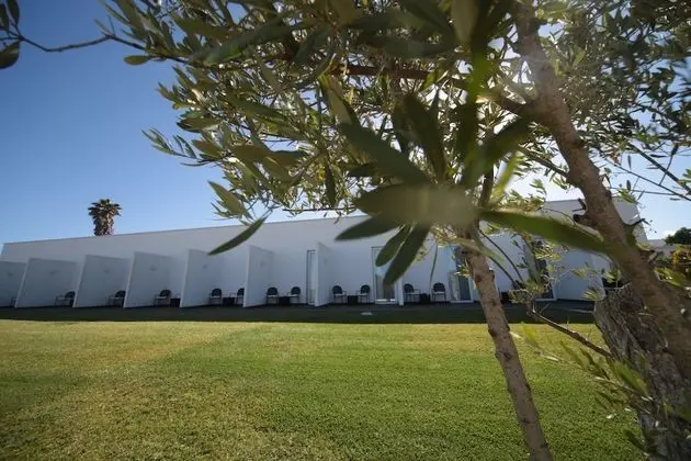 Standard Tek Büyük Yataklı Oda, Teras