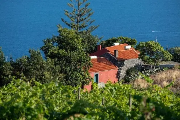 Büyük Yataklı Tek Kişilik Oda (Main House)