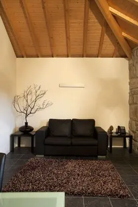 Premium Süit, 1 Çift Kişilik Yatak, Balkon, Avlu