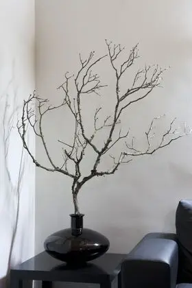 Premium Süit, 1 Çift Kişilik Yatak, Balkon, Avlu