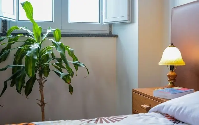 Design Süit, Dağ Manzaralı, Denize Bakan