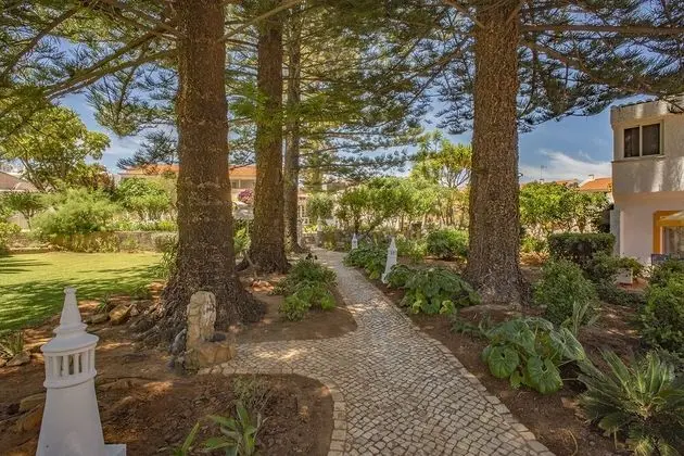 Apart Daire, 1 Büyük (Queen) Boy Yatak