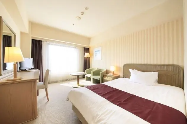 Deluxe Tek Büyük Yataklı Oda, Sigara İçilebilir