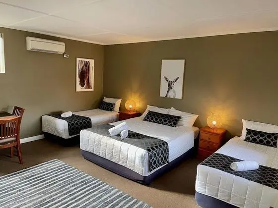 Deluxe Dört Kişilik Oda, Birden Çok Yatak
