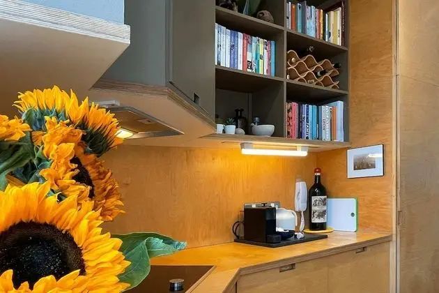 Basic Apart Daire, 1 Çift Kişilik Yatak ve Çekyat