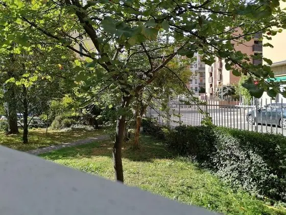 Comfort Dört Kişilik Oda, Bahçe Manzaralı