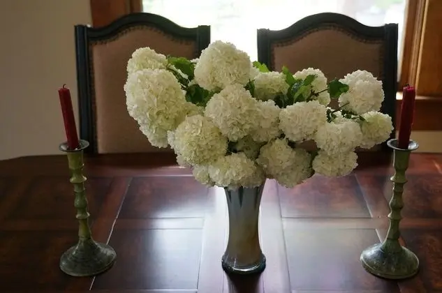 Premier Ev, 4 Yatak Odası, Kişiye Özel Havuzlu