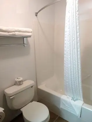 Süit