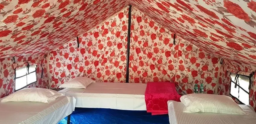 Luxury Çadır