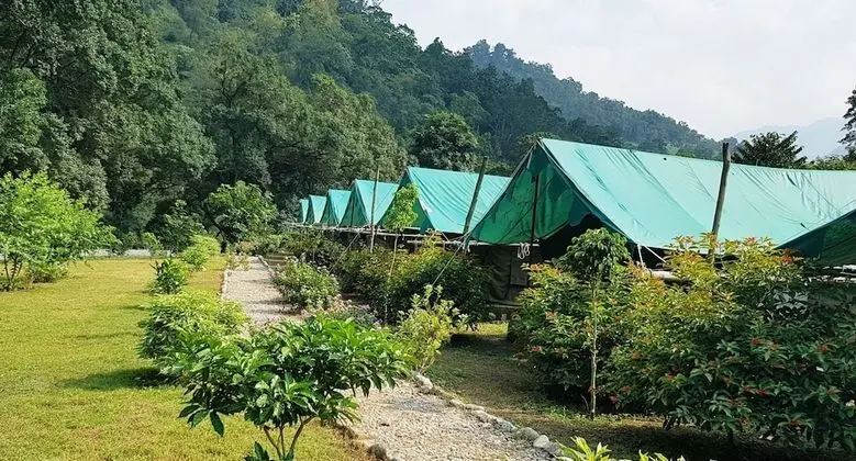 Luxury Çadır