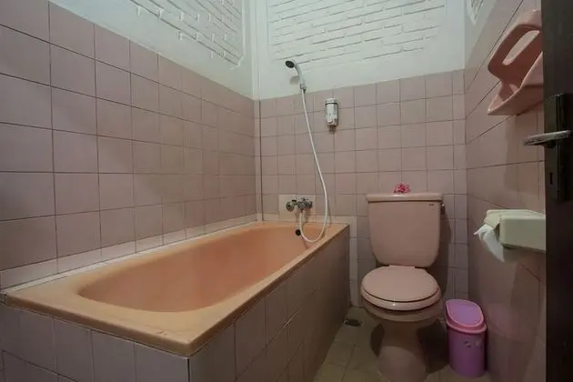 Superior Tek Büyük veya İki Ayrı Yataklı Oda
