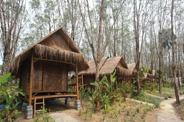 Bamboo Bungalow