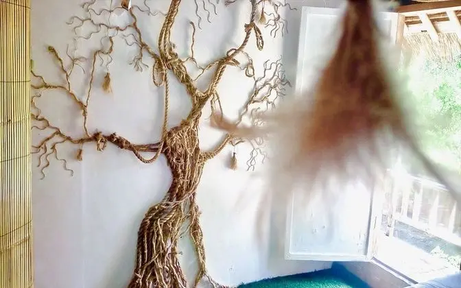 Tek Büyük Yataklı Oda, Banyolu/Duşlu (with AC)