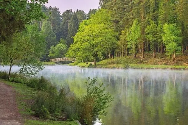 Apart Daire, Birden Çok Yatak