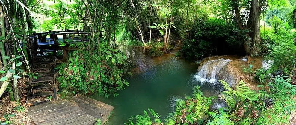 Cottage Treehouse Double