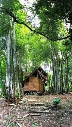 Cottage Treehouse Double