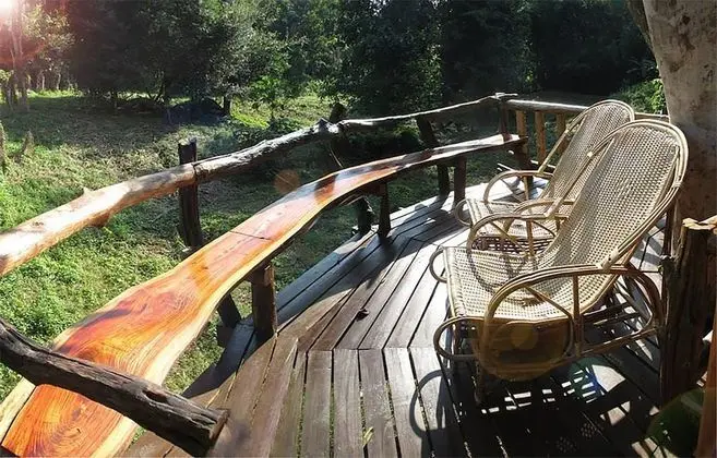 Cottage Treehouse Double