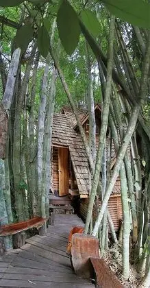 Cottage Treehouse Double