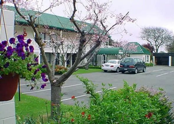 Stüdyo