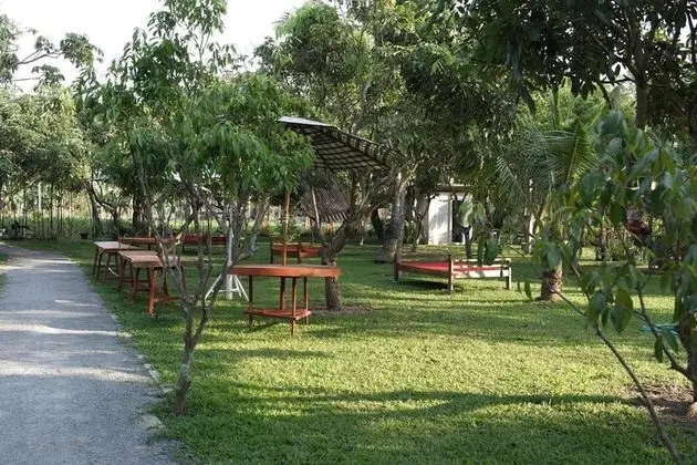Economy Çadır