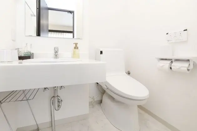 Deluxe Tek Büyük Yataklı Oda, Sigara İçilmez (with separated bath and toilet)