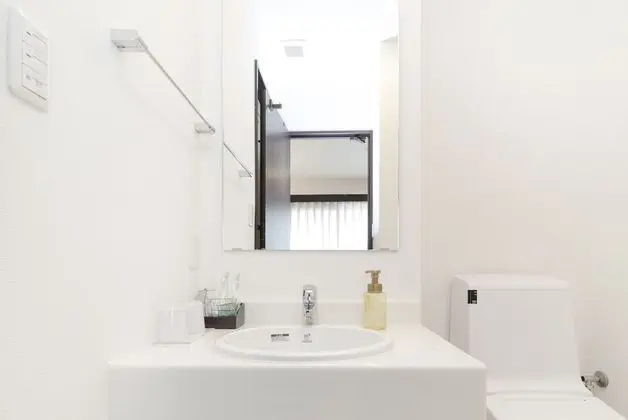 Deluxe Tek Büyük Yataklı Oda, Sigara İçilmez (with separated bath and toilet)