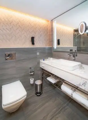Süit, Şehir Manzaralı (Lounge Access)