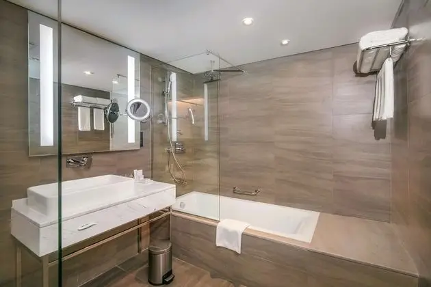 Süit, Şehir Manzaralı (Lounge Access)