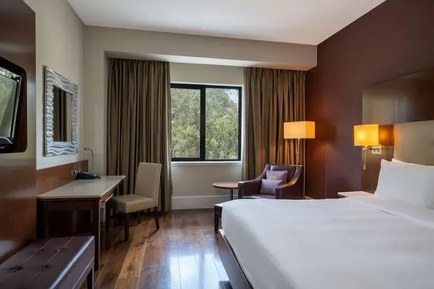 Süit, 1 Yatak Odası (Lounge Access)
