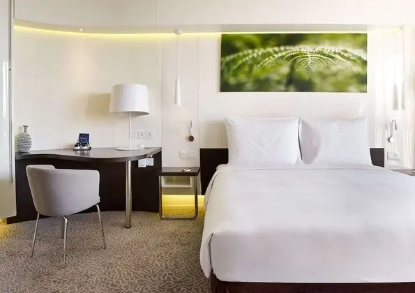 Executive Oda, Balkon (Lounge Access)