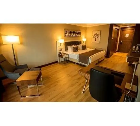 Standart Oda,Şehir Manzaralı