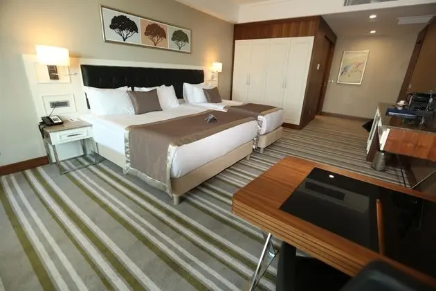 Standart Üç Kişilik Oda,Şehir veya Dağ Manzaralı