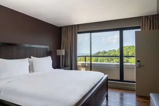 Executive Oda, Balkon (Lounge Access)