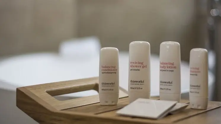 Çatı Katı Süiti (Penthouse), Teras (Lounge Access)