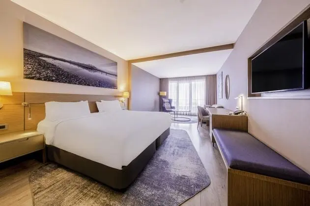 Premium Room, Dağ Manzaralı, Balkonlu