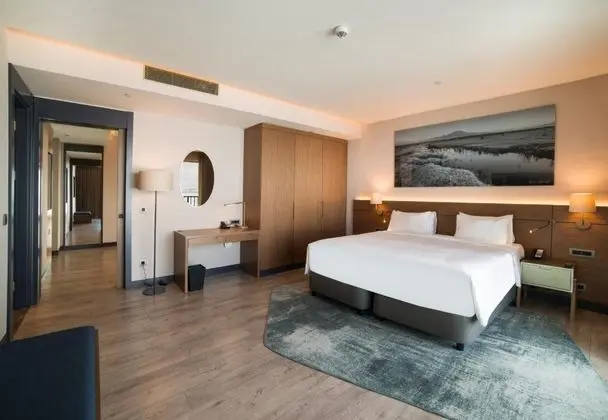 Suite - Tek Yatak Odalı, Dağ Manzaralı, Balkonlu