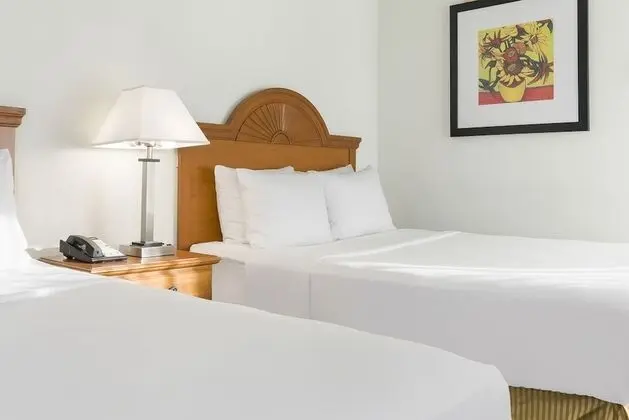 Deluxe Tek Büyük Yataklı Oda, 2 Çift Kişilik Yatak, Köşe
