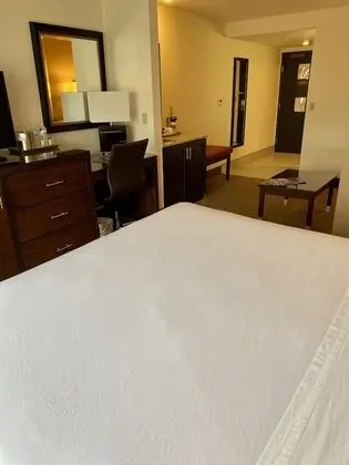Oda, 1 En Büyük (King) Boy Yatak, Engellilere Uygun, Sigara İçilmez (Roll-in Shower)