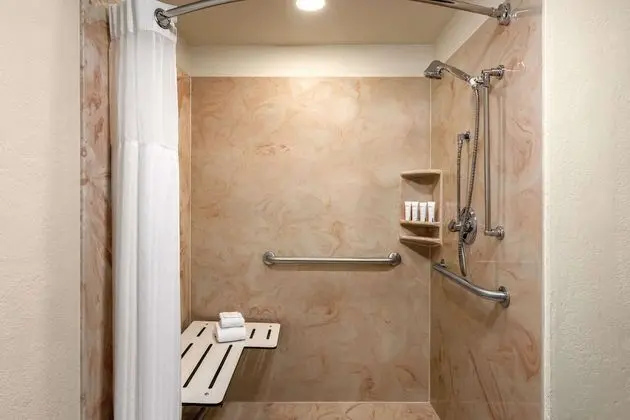 Oda, 1 En Büyük (King) Boy Yatak, Engellilere Uygun, Sigara İçilmez (Roll-in Shower)