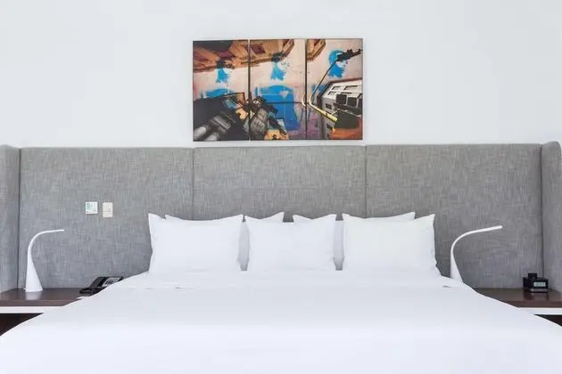 Premium Oda, 1 En Büyük (King) Boy Yatak, Sigara İçilmez