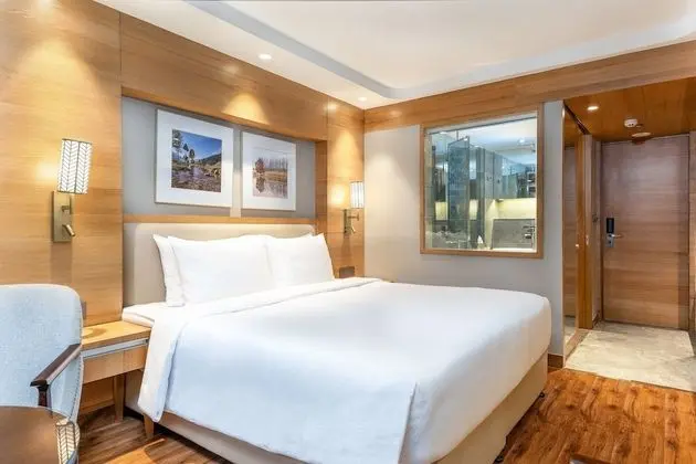 Superior Tek Büyük Yataklı Oda