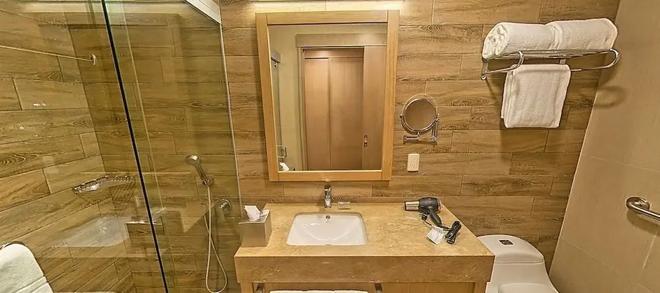 Stüdyo Süit, 1 En Büyük (King) Boy Yatak, Sigara İçilmez