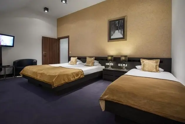 Deluxe Tek Büyük veya İki Ayrı Yataklı Oda