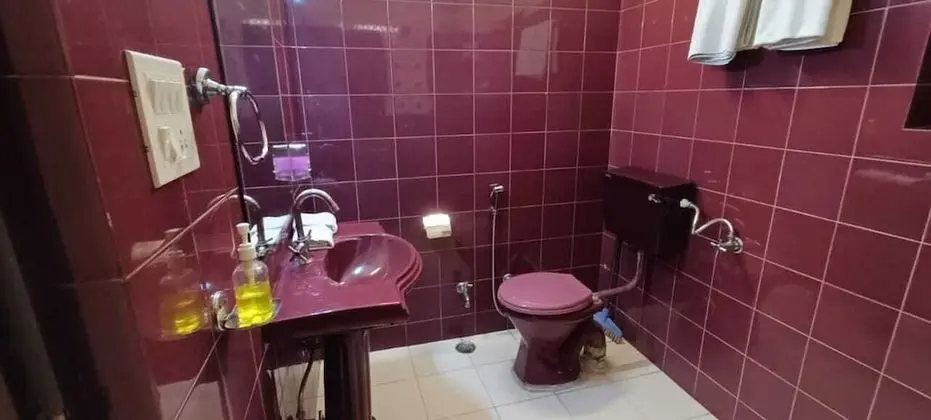 Deluxe Tek Büyük veya İki Ayrı Yataklı Oda