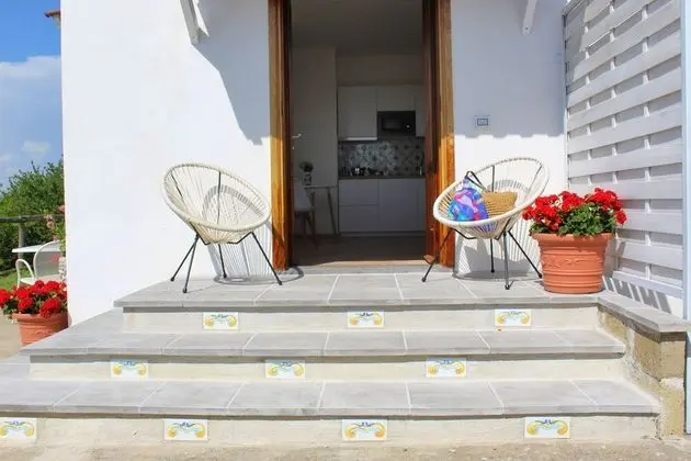 Basic Stüdyo
